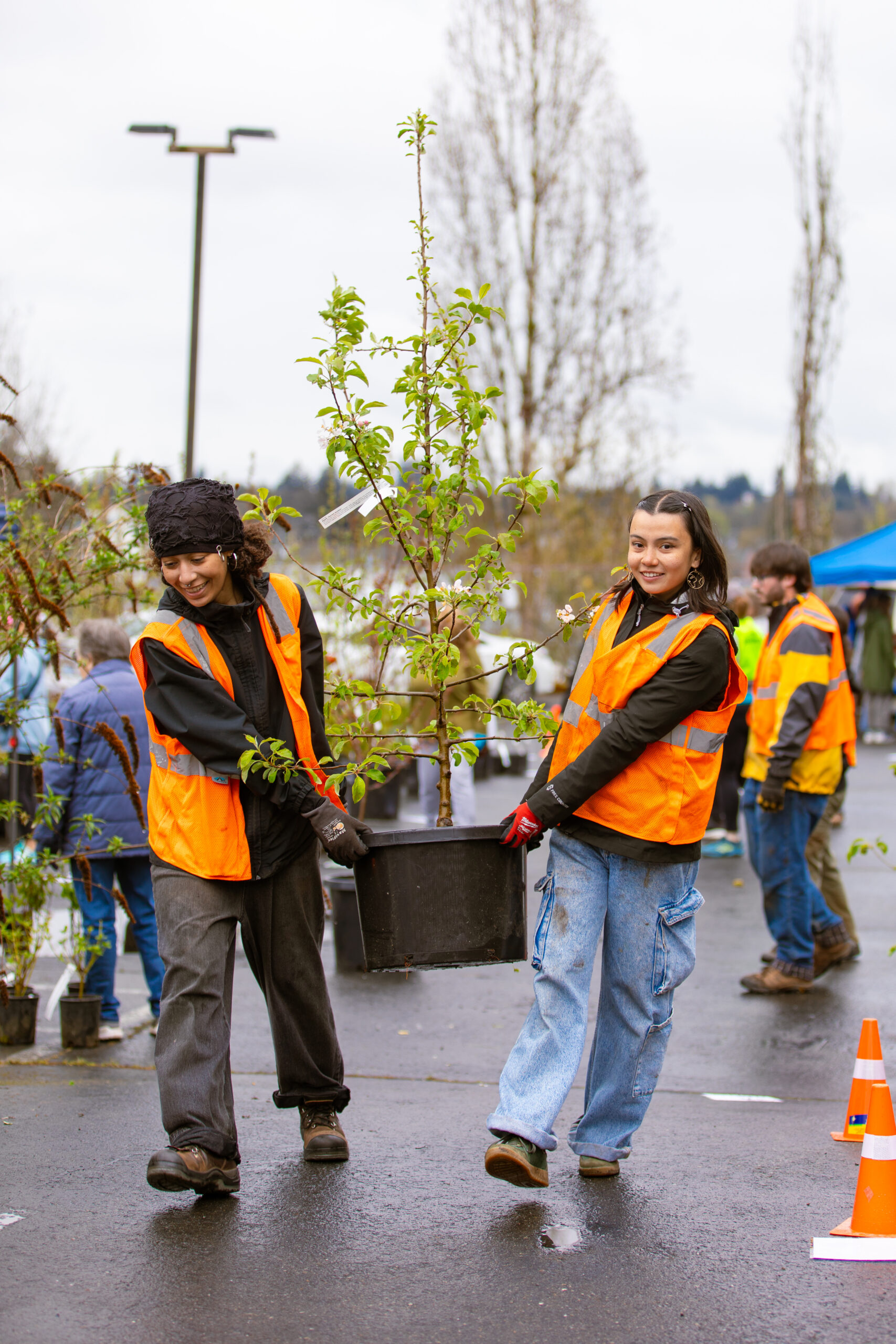 Tacoma Tree Foundation 2